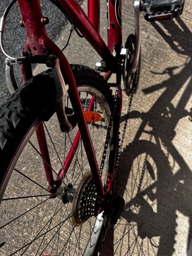 Giant Bike