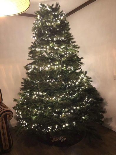 8ft christmas tree