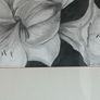 Large Original Framed Pencil / Graphite Drawing Image 3