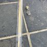 Wetroom gold glass profile kit Image 3