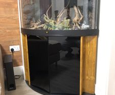 Juwel trigon corner fish tank 200l.