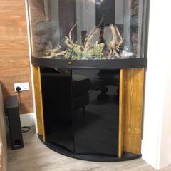 Juwel trigon corner fish tank 200l.