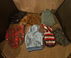 small dog clothes