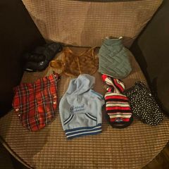 small dog clothes