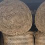 40 bales of quality hey Image 2