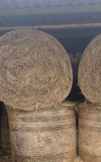 40 bales of quality hey