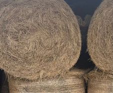 40 bales of quality hey
