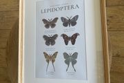 Wall Art Print