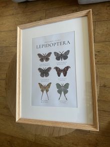 Wall Art Print