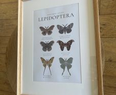 Wall Art Print