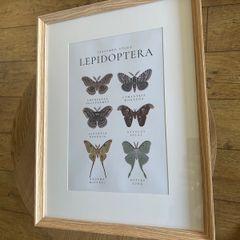Wall Art Print