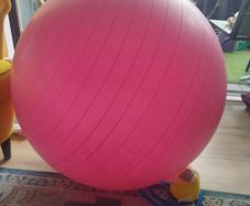 FREE Exercise ball