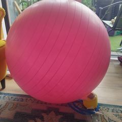FREE Exercise ball