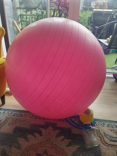 FREE Exercise ball