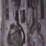 Mandolin Image 7