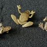 3 brass frogs,. Solid brass. Image 2