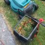 Bosch Electric Lawnmower Image 5