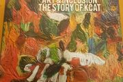 Art &amp; Inclusion The Story  of Kcat