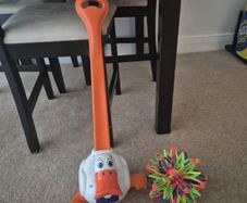 push & pull toys
