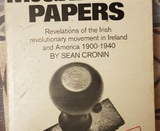 The McGarrity Papers by Sean Cronin