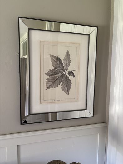 Two mirrored limited edition picture prints stunning