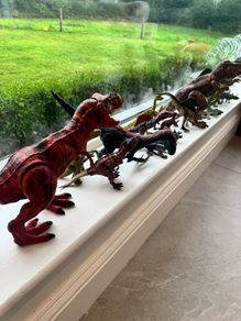 Selection of Dinosaurs