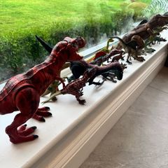 Selection of Dinosaurs
