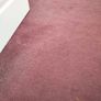carpet Image 2