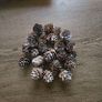Christmas mini pinecones Image 5