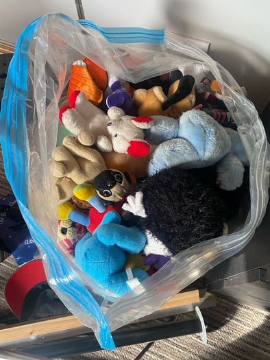 teddies