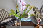 Venus flytrap artificial plant
