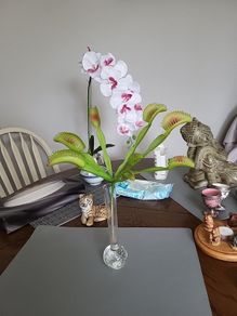Venus flytrap artificial plant