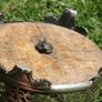 Antique spice rack Image 6