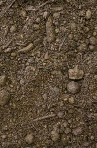Wanted Top Soil