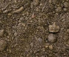 Wanted Top Soil