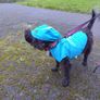 Waterproof Dog Coat Designer! Image 3