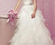 Wedding Dress - Paloma Blanca