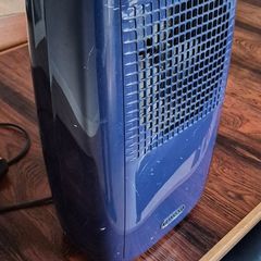Dimplex dehumidifier