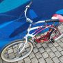 Beautiful Schwinn Cruiser Bike Image 6