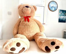 Giant Teddy Bear
