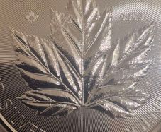 5 oz Canadian Maple Leaf Silver Bullion Coins