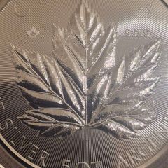 5 oz Canadian Maple Leaf Silver Bullion Coins