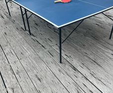 table tennis table