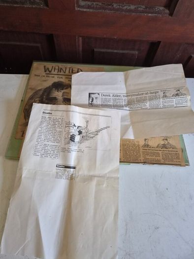 Derek Alder Merrymaker At Large Framed Cartoon Newspaper Collage