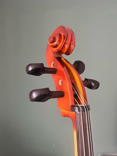 Antoni ACC35 Debut Cello - Full Size 4/4 - Solid Wood - Bow & Case