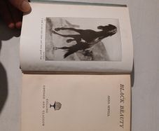 Black Beauty by Anna Sewell