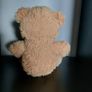 Teddy Image 3