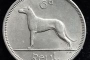 Ireland - 1961 - 6 Pence - Wolfhound - EF - KM.13a - [2522]