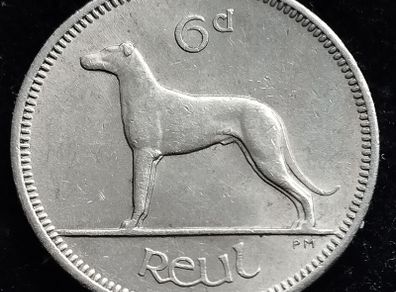 Ireland - 1961 - 6 Pence - Wolfhound - EF - KM.13a - [2522]