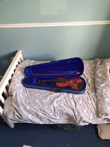 Leonardo Fiddle
